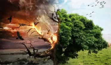 РАЗДЕЛЯЮЩЕЕ СЛОВО