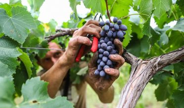 ХРИСТОС — ЖИЗНЬ НАША