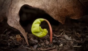 МАЛАЯ ВЕРА?